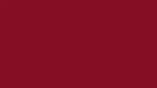 RAL-3005